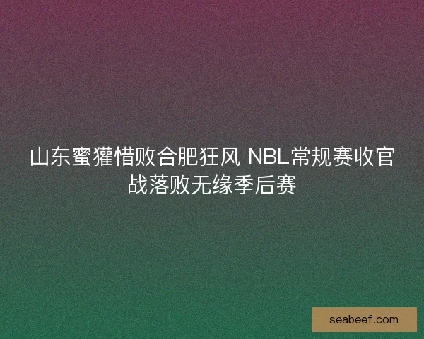 山东蜜獾惜败合肥狂风 NBL常规赛收官战落败无缘季后赛 山东蜜獾惜败合肥狂风 NBL常规赛收官战落败无缘季后赛