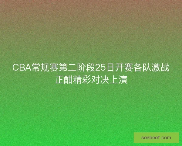 CBA常规赛第二阶段25日开赛各队激战正酣精彩对决上演