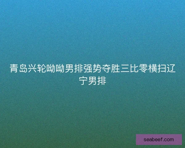青岛兴轮呦呦男排强势夺胜三比零横扫辽宁男排